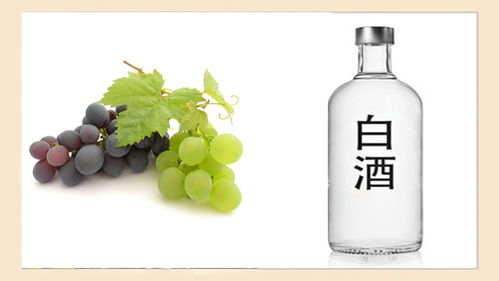酒桌上“千杯不倒”的秘密，快來看看你知道幾個